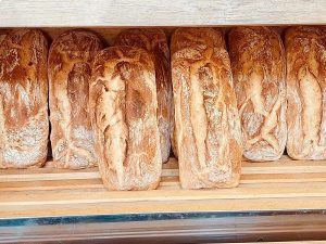 Domći kruh - TEST PROIZVOD