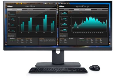 Dell-UltraSharp-U2913WM-29-monitor-UltraWide-Crni